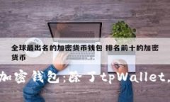 iaoti评测最佳加密钱包：除了tpWallet，哪些选择更