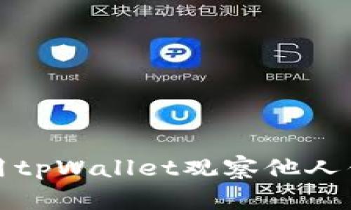 如何使用tpWallet观察他人钱包信息