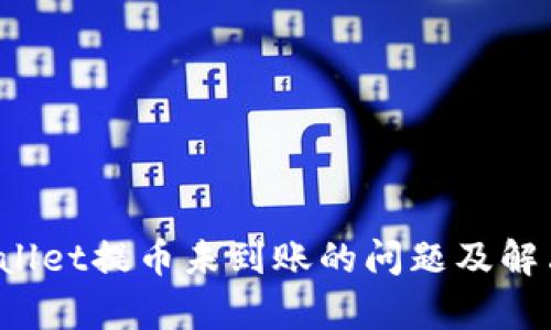  tpWallet提币未到账的问题及解决方法