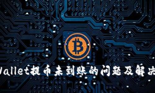  tpWallet提币未到账的问题及解决方法