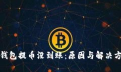 冷钱包提币没到账：原因与解决方案