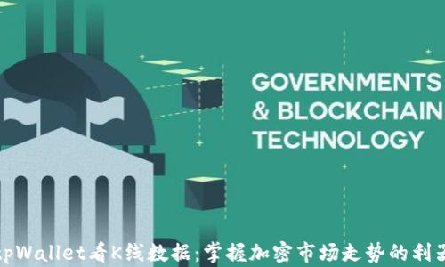 
tpWallet看K线数据：掌握加密市场走势的利器