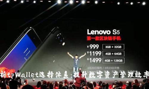 深度解析tpWallet选择体系：提升数字资产管理效率的关键