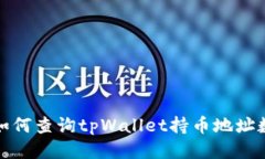 : 如何查询tpWallet持币地址数量