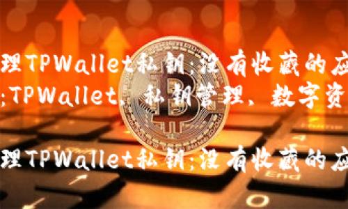 高效管理TPWallet私钥：没有收藏的应对策略
关键词：TPWallet, 私钥管理, 数字资产安全

高效管理TPWallet私钥：没有收藏的应对策略