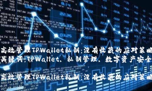 高效管理TPWallet私钥：没有收藏的应对策略
关键词：TPWallet, 私钥管理, 数字资产安全

高效管理TPWallet私钥：没有收藏的应对策略